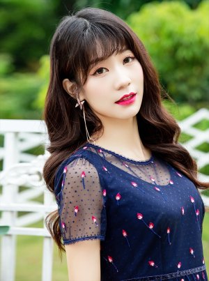 画像5: [送料無料][GINZA COUTURE]ネイビー・半袖・総レース・刺繍・Aライン・ミディアムドレス・ワンピース[即日発送][大きいサイズあり]