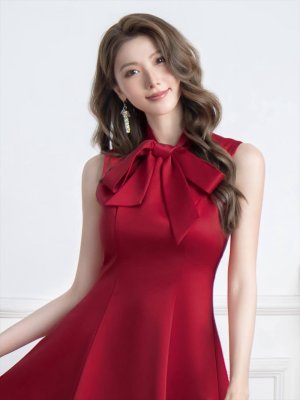 画像5: [送料無料][ERUKEI]ワインレッド・ネイビー・ホワイト・アイボリー・グレー・ピンク・ディープピンク・プチハイネック・シンプル・リボン・Aライン・ミニドレス・ワンピース[即日発送][大きいサイズあり]