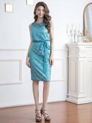 画像11: [送料無料][ERUKEI]ピンク・ブルー・総レース・ノースリーブ・ウエストリボン・タイト・ミディアムドレス・ワンピース[即日発送][大きいサイズあり]