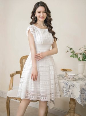 画像3: [送料無料][ERUKEI]ホワイト・ピンク・ネイビー・フレンチスリーブ・ケミカルレース・Ａライン・ミディアムドレス・ワンピース[即日発送][大きいサイズあり]