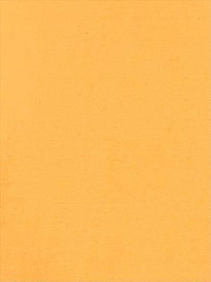 画像19: [送料無料][ERUKEI]ワインレッド・ホワイト・グリーン・マスタード・ネイビー・ワンカラー・シンプル・キャミソール・Vカット・シアー・スリット・タイト・マーメイド・ロングドレス[即日発送][大きいサイズあり]