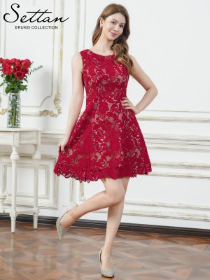 画像2: [送料無料][SETTAN]レッド・ホワイト・ブラック・ベージュ・ケミカルレース・総レース・ノースリーブ・Aライン・フレア・ミニドレス・ワンピース[即日発送][大きいサイズあり]
