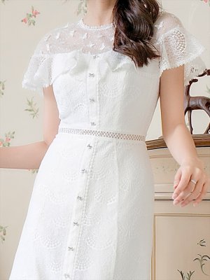 画像4: [送料無料][SETTAN]ホワイト・ブラック・総レース・シースルー・半袖・Aライン・ミディアムドレス・ワンピース[即日発送][大きいサイズあり]