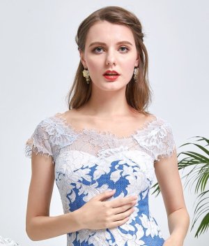 画像10: [送料無料][SETTAN]ピンク・ブルー・フレア・レース・花柄・キュート・ミディアムドレス・ワンピース[即日発送][大きいサイズあり]