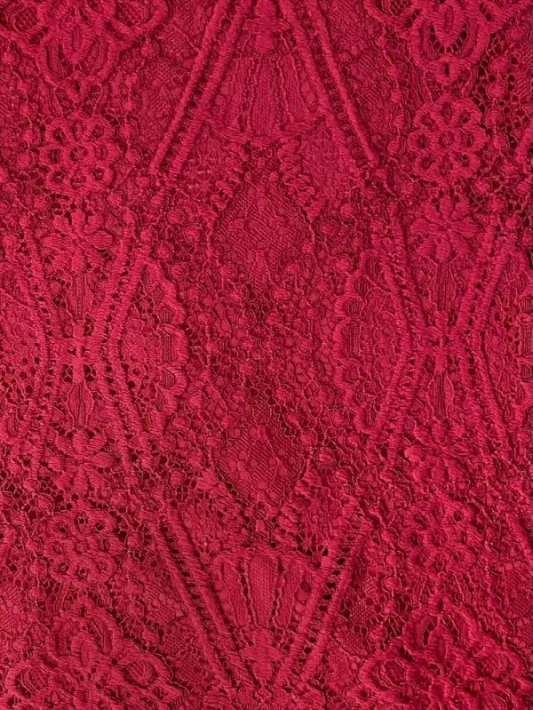 画像13: [送料無料][ERUKEI]ワインレッド・ホワイト・レッド・ネイビー・総レース・ベルスリーブ・シアー・Aライン・エレガント・ロングドレス[即日発送][大きいサイズあり] (13)