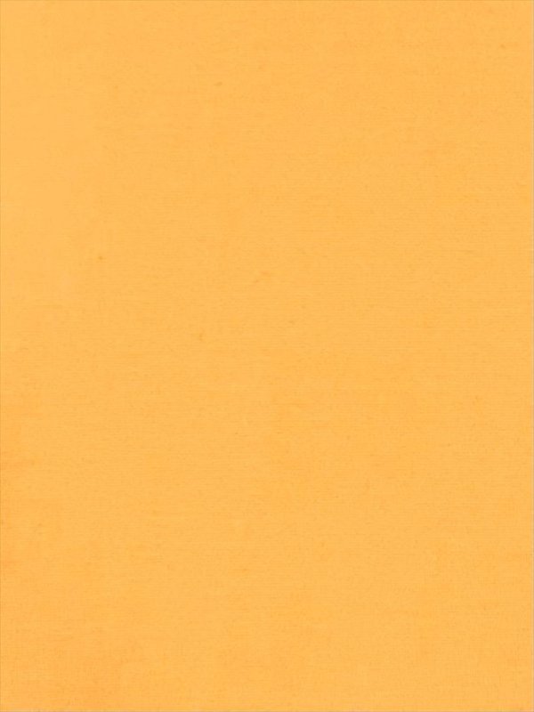 画像19: [送料無料][ERUKEI]ワインレッド・ホワイト・グリーン・マスタード・ネイビー・ワンカラー・シンプル・キャミソール・Vカット・シアー・スリット・タイト・マーメイド・ロングドレス[即日発送][大きいサイズあり] (19)