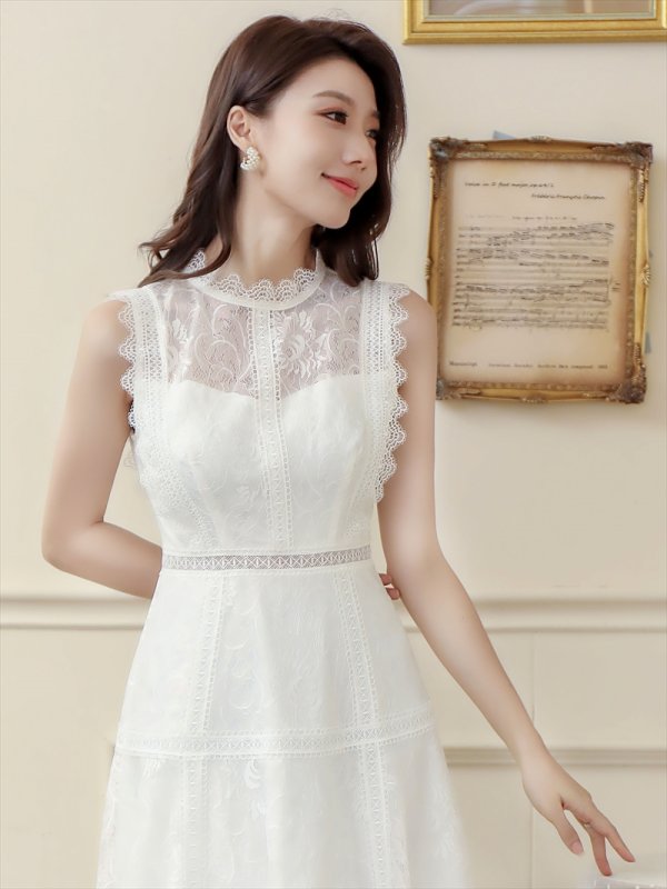 画像10: [送料無料][ERUKEI]ベージュ・ホワイト・ネイビー・ワインレッド・ピンク・総レース・プチハイネック・ノースリーブ・Aライン・ミディアムドレス・ワンピース[即日発送][大きいサイズあり] (10)