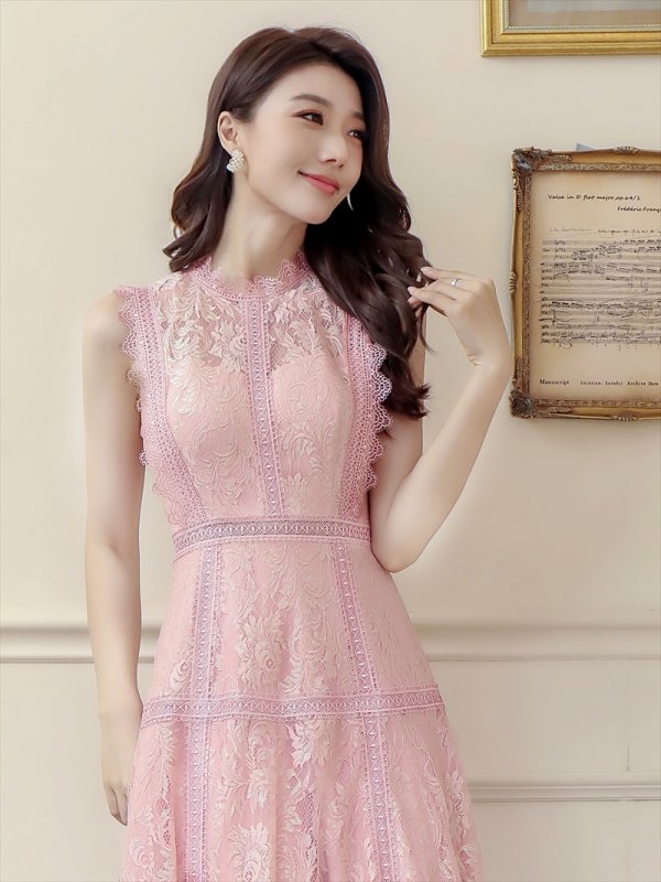 画像4: [送料無料][ERUKEI]ピンク・ホワイト・ネイビー・オーロラ・総レース・ノースリーブ・プチハイネック・プリンセス・Aライン・ロングドレス[即日発送][大きいサイズあり] (4)