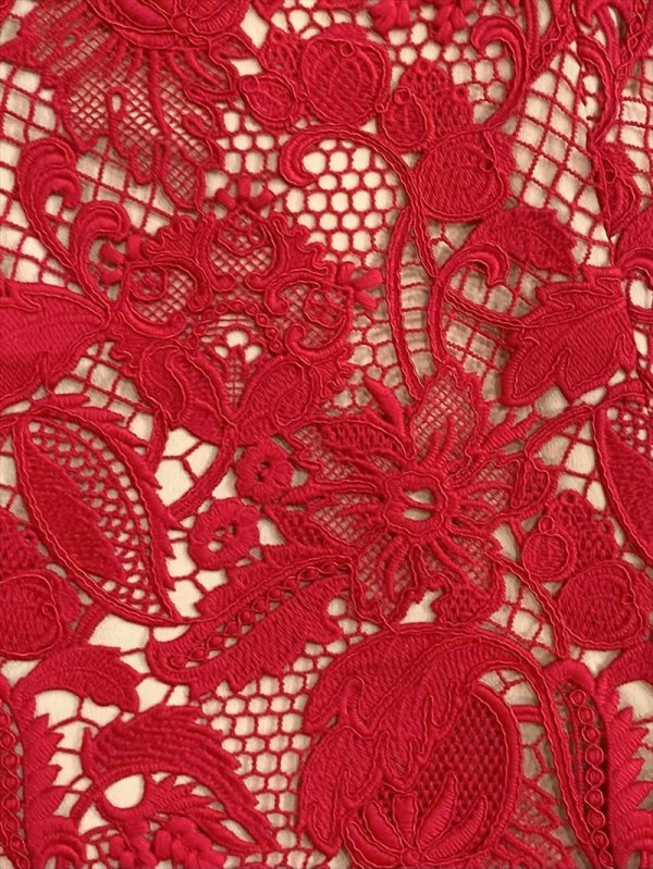 画像19: [送料無料][SETTAN]ホワイト・ブラック・ベージュ・レッド・ケミカルレース・総レース・ノースリーブ・Aライン・フレア・ミニドレス・ワンピース[即日発送][大きいサイズあり] (19)