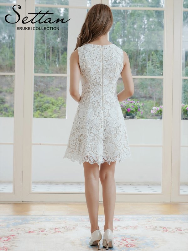 画像3: [送料無料][SETTAN]ホワイト・ブラック・ベージュ・レッド・ケミカルレース・総レース・ノースリーブ・Aライン・フレア・ミニドレス・ワンピース[即日発送][大きいサイズあり] (3)